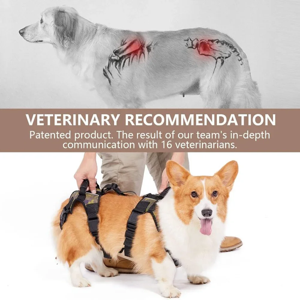 Coodeo Dog Lift Harness, Full Body Support & Recovery Sling